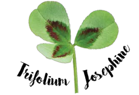 Trifolium Josephine