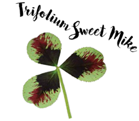Trifolium Sweet Mike