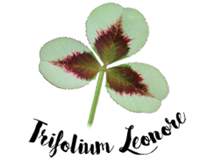 Trifolium Leonore